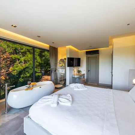 Dinyeper Oludeniz Villa *