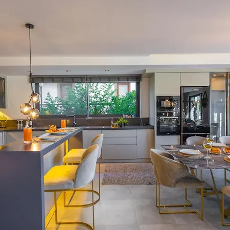 别墅 Dinyeper Oludeniz 费特希耶