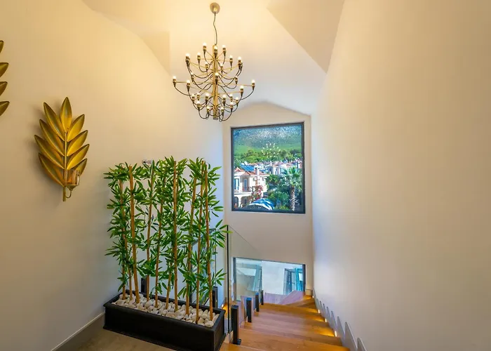 Dinyeper Oludeniz Fethiye