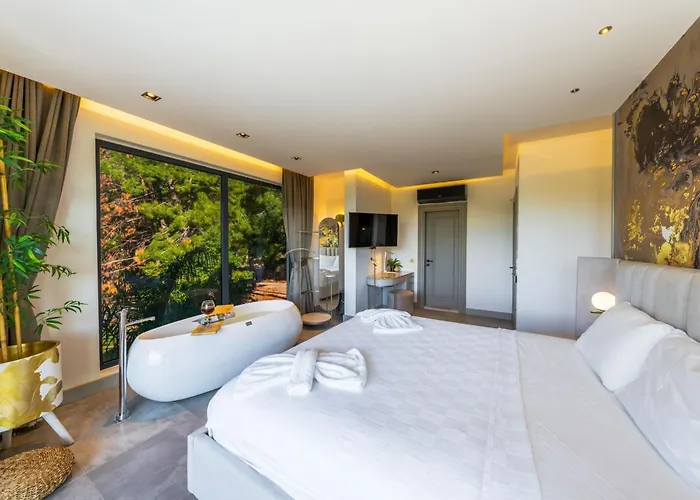 Dinyeper Oludeniz Villa *