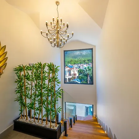 Dinyeper Oludeniz فتحية