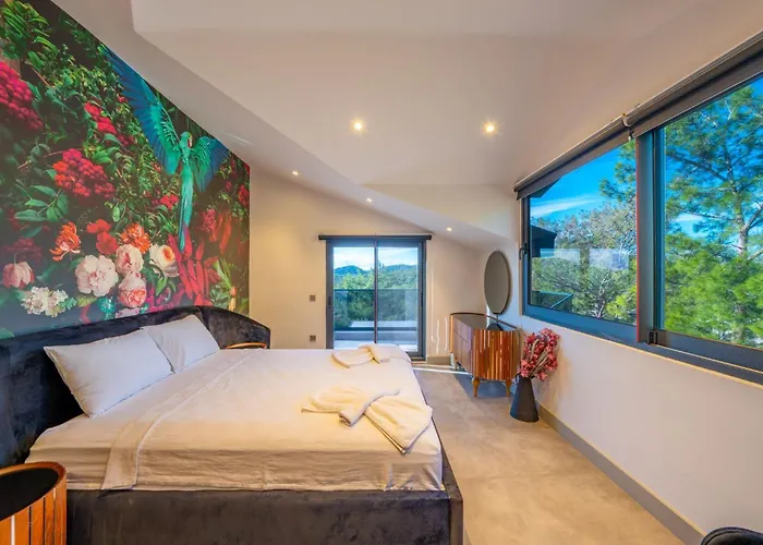 Dinyeper Oludeniz וילה